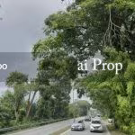 Permas Jaya Commercial-Zoned Land – 5.2 Acres - Photo 4 of 4