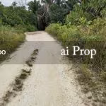 Ulu Choh Residential-Zoned Land – 2.6 Acres - Photo 4 of 4