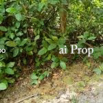 Ulu Choh Residential-Zoned Land – 1.4 Acres - Photo 1 of 2