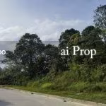 Lima Kedai Industrial-Zoned Land – 5 Acres - Photo 1 of 2