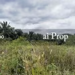 Ulu Choh Residential-Zoned Land – 2.6 Acres - Photo 2 of 4
