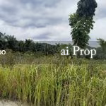 Ulu Choh Residential-Zoned Land – 2.6 Acres - Photo 1 of 4