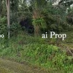 Kota Tinggi Converted Industrial Land – 3 Acres - Photo 2 of 3