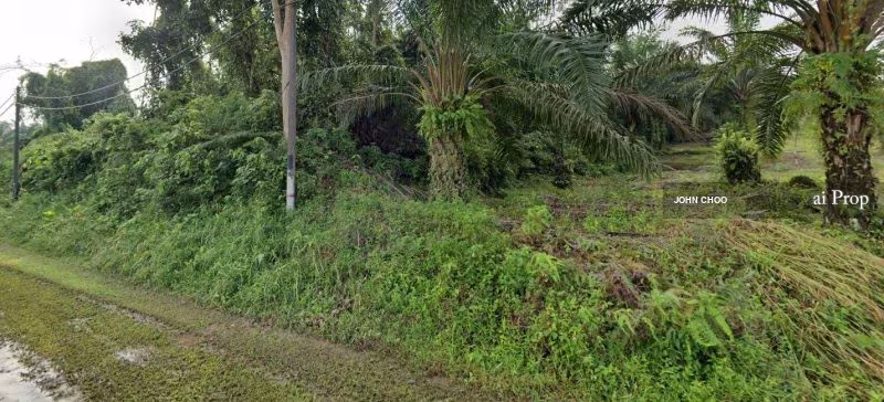 Industrial Land For Sale In Kota Tinggi - 3 Acres #926 - Slide Photo 2