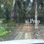 Seelong Agricultural Land – 8 Acres - Photo 4 of 4