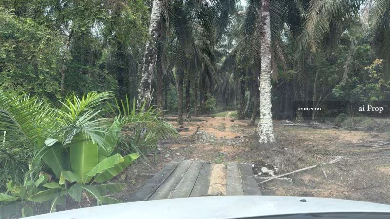 Seelong Agricultural Land For Sale In Senai - 8 Acres #961 - Slide Photo 4
