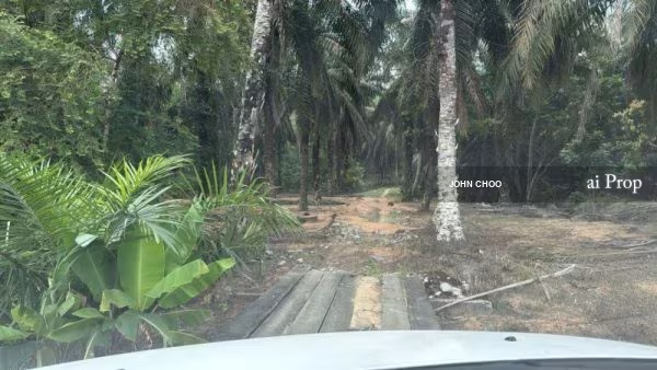 Seelong Agricultural Land – 8 Acres site view