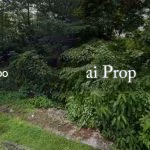 Jb City Converted Commercial Land – 40000 Sqft - Photo 2 of 3