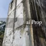 Sungai Telor Agricultural Land – 5 Acres - Photo 3 of 3