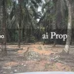 Seelong Agricultural Land – 8 Acres - Photo 1 of 4
