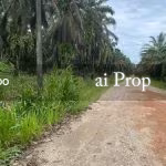 Kota Tinggi Agricultural Land For Sale In Johor – 9.5 Acres - Photo 3 of 6