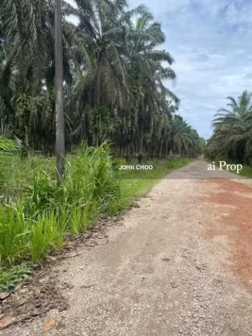 Kota Tinggi Agricultural Land For Sale In Johor – 9.5 Acres site view