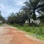 Kota Tinggi Agricultural Land For Sale In Johor – 9.5 Acres - Photo 2 of 6