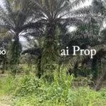 Kota Tinggi Agricultural Land For Sale In Johor – 9.5 Acres - Photo 5 of 6