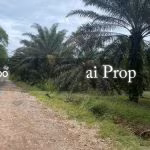 Kota Tinggi Agricultural Land For Sale In Johor – 9.5 Acres - Photo 1 of 6