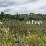 Ulu Choh Residential-Zoned Land – 2.6 Acres - Photo 3 of 4