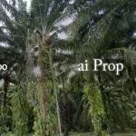 Kota Tinggi Converted Industrial Land – 3 Acres - Photo 3 of 3