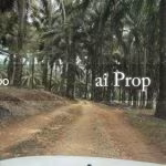 Seelong Agricultural Land – 8 Acres - Photo 2 of 4