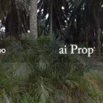 Seelong Jaya Converted Industrial Land – 11 Acres - Photo 2 of 2