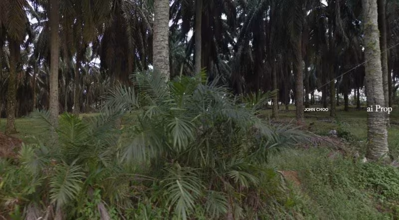 Seelong Jaya Industrial Land For Sale In Senai - 11 Acres #581 - Slide Photo 2