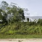 Lima Kedai Industrial-Zoned Land – 5 Acres - Photo 2 of 2