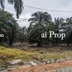 Pekan Nanas Agricultural Land – 5.5 Acres - Photo 1 of 1