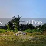 Kempas Residential-Zoned Land – 20000 Sqft - Photo 2 of 2