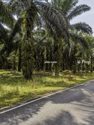 Sungai Telor Agricultural Land – 5 Acres site view