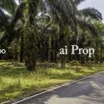 Sungai Telor Agricultural Land – 5 Acres - Photo 1 of 3