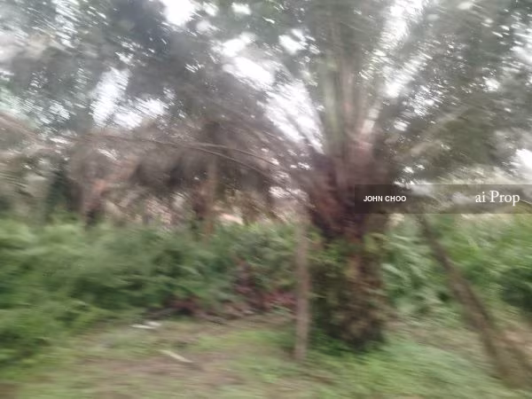 Parit Kudus Agricultural Land – 22 Acres site view