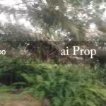 Parit Kudus Agricultural Land – 22 Acres - Photo 1 of 5
