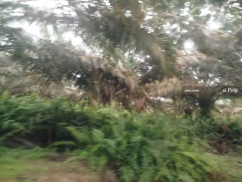 Parit Kudus Agricultural Land For Sale In Pontian - 22 Acres #1328 - Slide Photo 1
