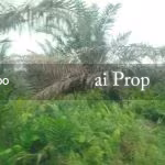 Parit Kudus Agricultural Land – 22 Acres - Photo 5 of 5