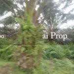 Parit Kudus Agricultural Land – 22 Acres - Photo 2 of 5