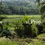 Pulai Emas Residential Land For Sale In Pulai – 5 Acres - Photo 2 of 2