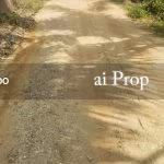 Pulai Emas Residential Land For Sale In Pulai – 5 Acres - Photo 1 of 2