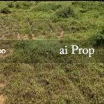 Ulu Tiram Industrial-Zoned Land – 66 Acres - Photo 4 of 4