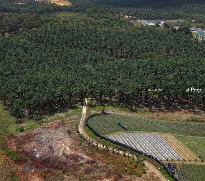 Ulu Tiram Industrial Land For Sale In Plentong - 66 Acres #1882 - Slide Photo 1