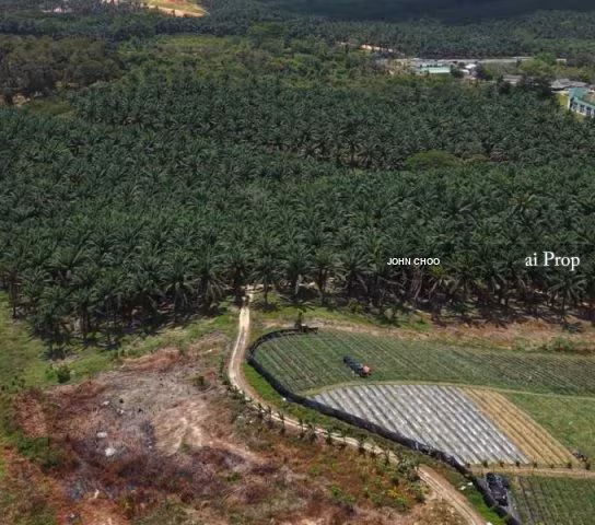 Ulu Tiram Industrial-Zoned Land – 66 Acres site view