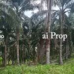 Ulu Tiram Industrial-Zoned Land – 66 Acres - Photo 2 of 4