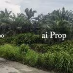 Pekan Nanas Agricultural Land – 15 Acres - Photo 1 of 2