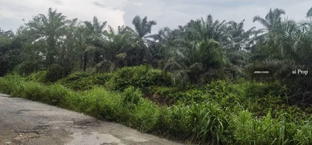 Pekan Nanas Agricultural Land For Sale In Pontian - 15 Acres #1925 - Slide Photo 1