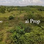 Ulu Choh Industrial Land For Sale In Pontian – 11 Acres - Photo 2 of 3