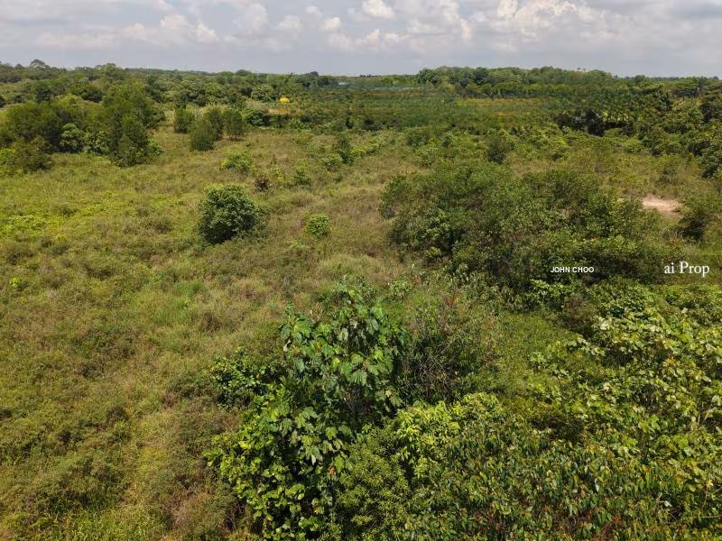Pekan Nanas Industrial Land For Sale In Pontian - 11 Acres #1885 - Slide Photo 2