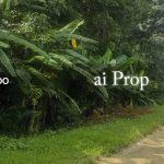 Seelong Jaya Converted Industrial Land – 8 Acres - Photo 1 of 3
