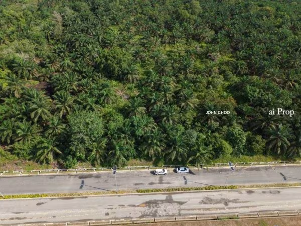 Pekan Nanas Industrial-Zoned Land – 72 Acres site view