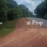 Simpang Renggam Converted Industrial Land – 8 Acres - Photo 3 of 3