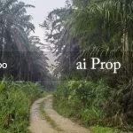Seelong Jaya Converted Industrial Land – 8 Acres - Photo 2 of 3