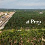Pekan Nanas Industrial-Zoned Land – 72 Acres - Photo 1 of 3