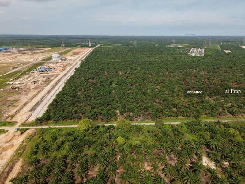 Pekan Nanas Industrial Land For Sale In Pontian - 72 Acres #1883 - Slide Photo 1